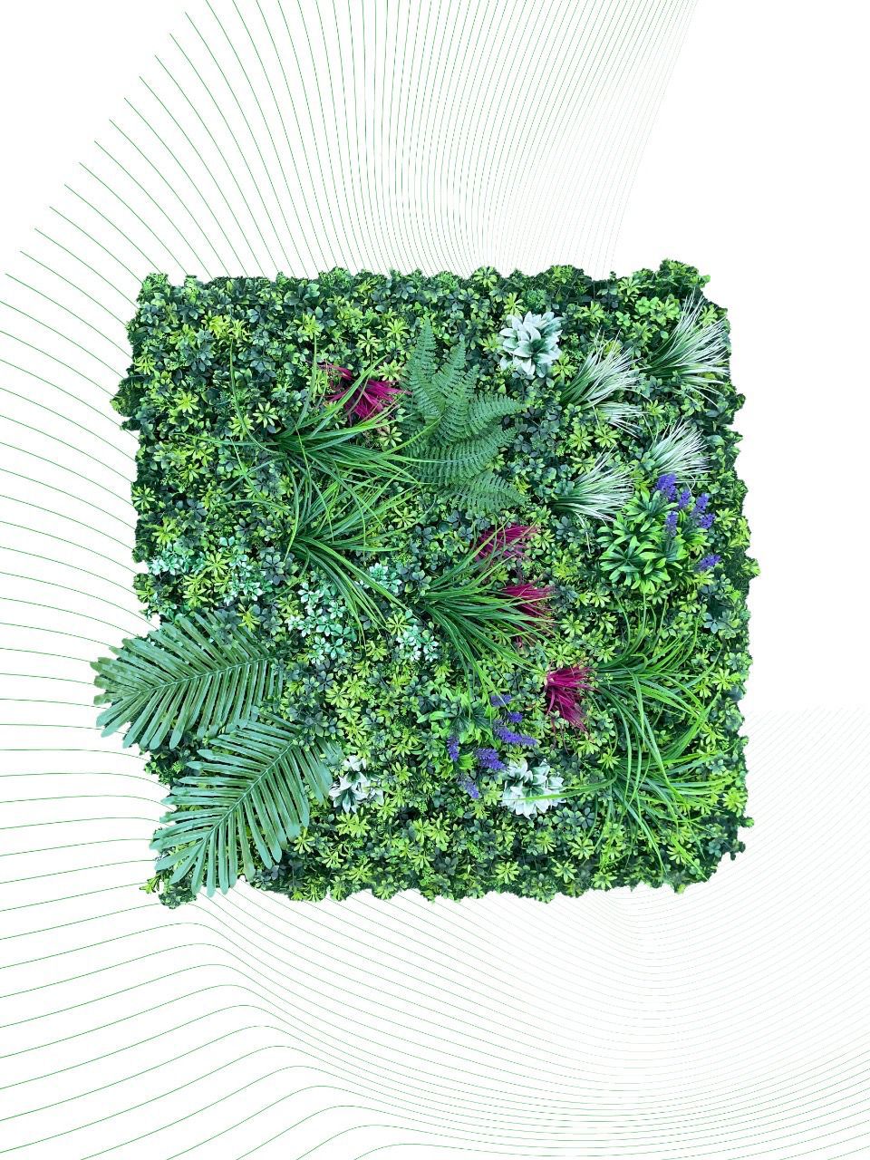 عشب جداري (1)