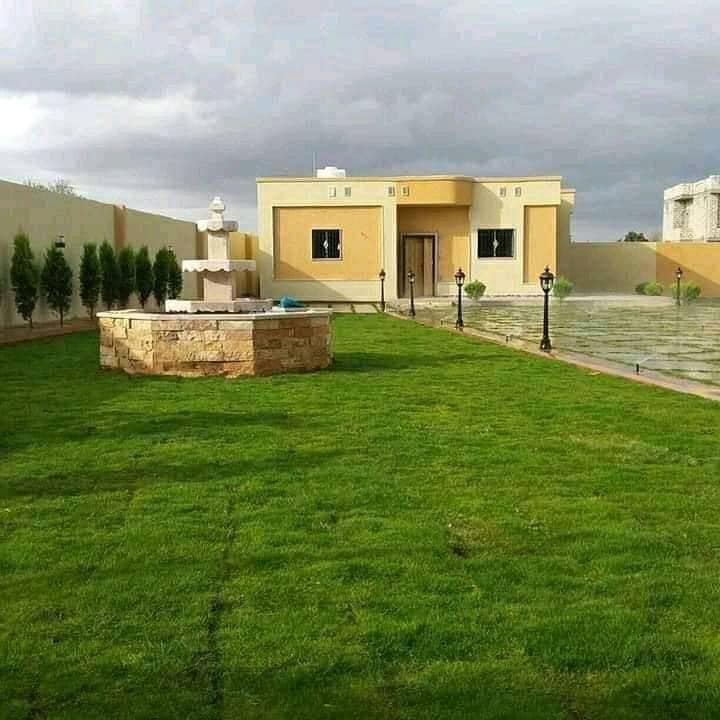 عشب طبيعي (46)