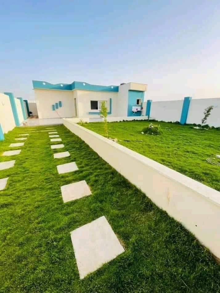 عشب طبيعي (49)